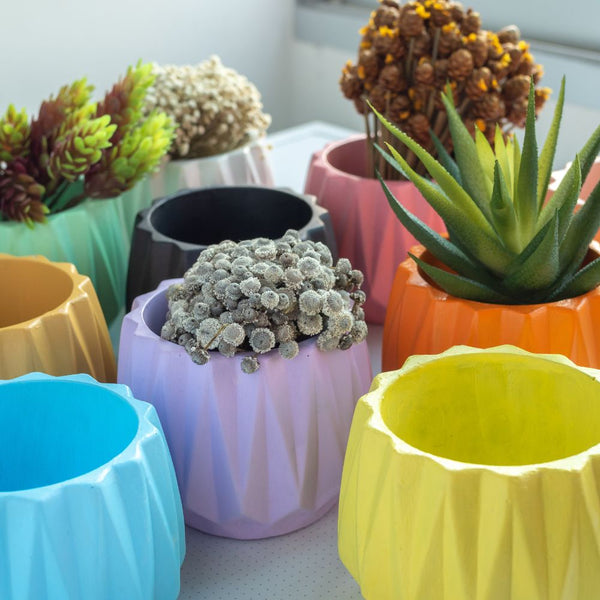 Pots & Planters