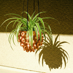 The Creature Orb Hanging Planter Pot With Drainage