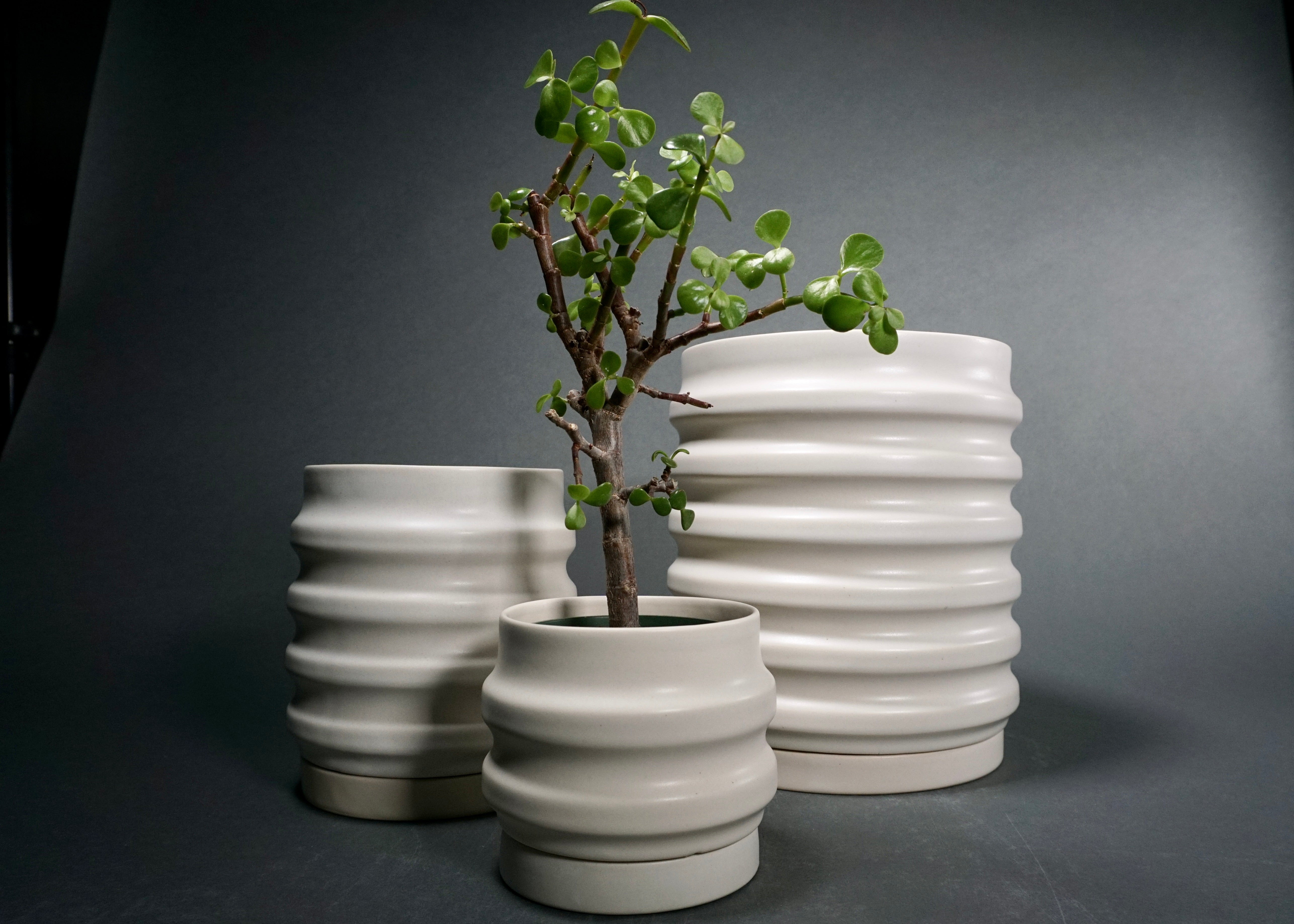 Primera Planters