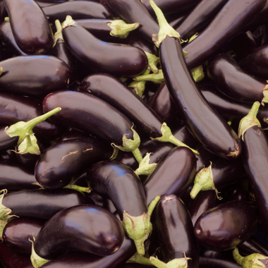 Long Purple Eggplant Seeds