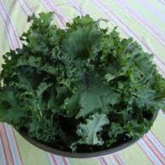 KALE Seeds, Premier
