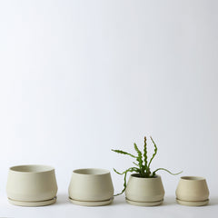 The Rancho Planter