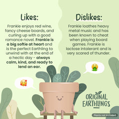 Frankie: Sitting Plant Pot