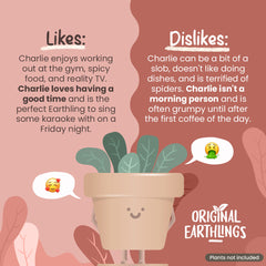 Charlie: Standing Plant Pot