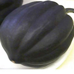 SQUASH (Acorn) Seeds, Table Queen