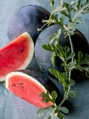 Sugar Baby Watermelon (25 Seeds), Heirloom Vegetables