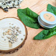 Organic Spinach Seeds